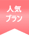 人気プラン